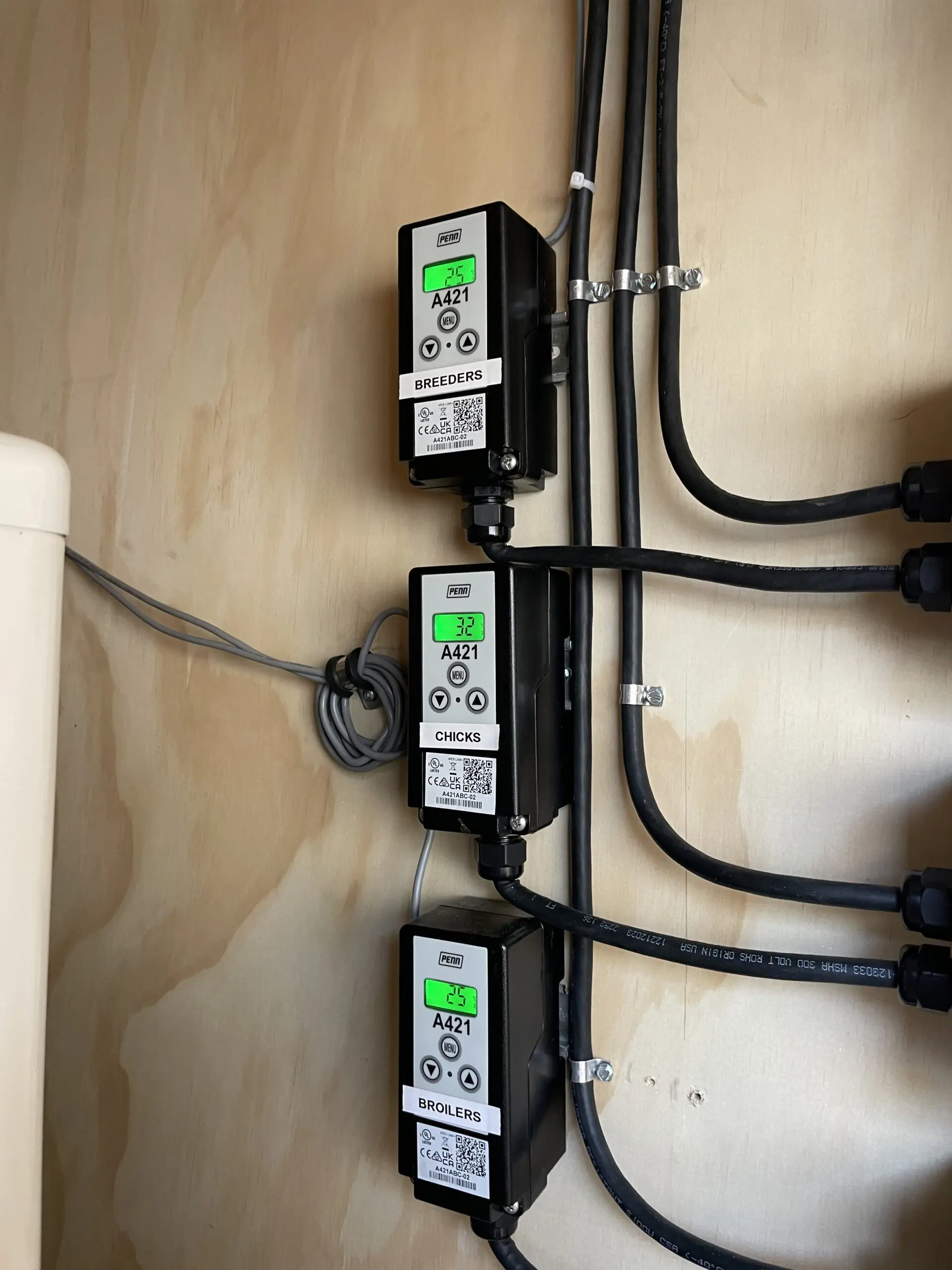 Penn A421 temperature controllers for breeders chicks and broilers poultry refrigeration