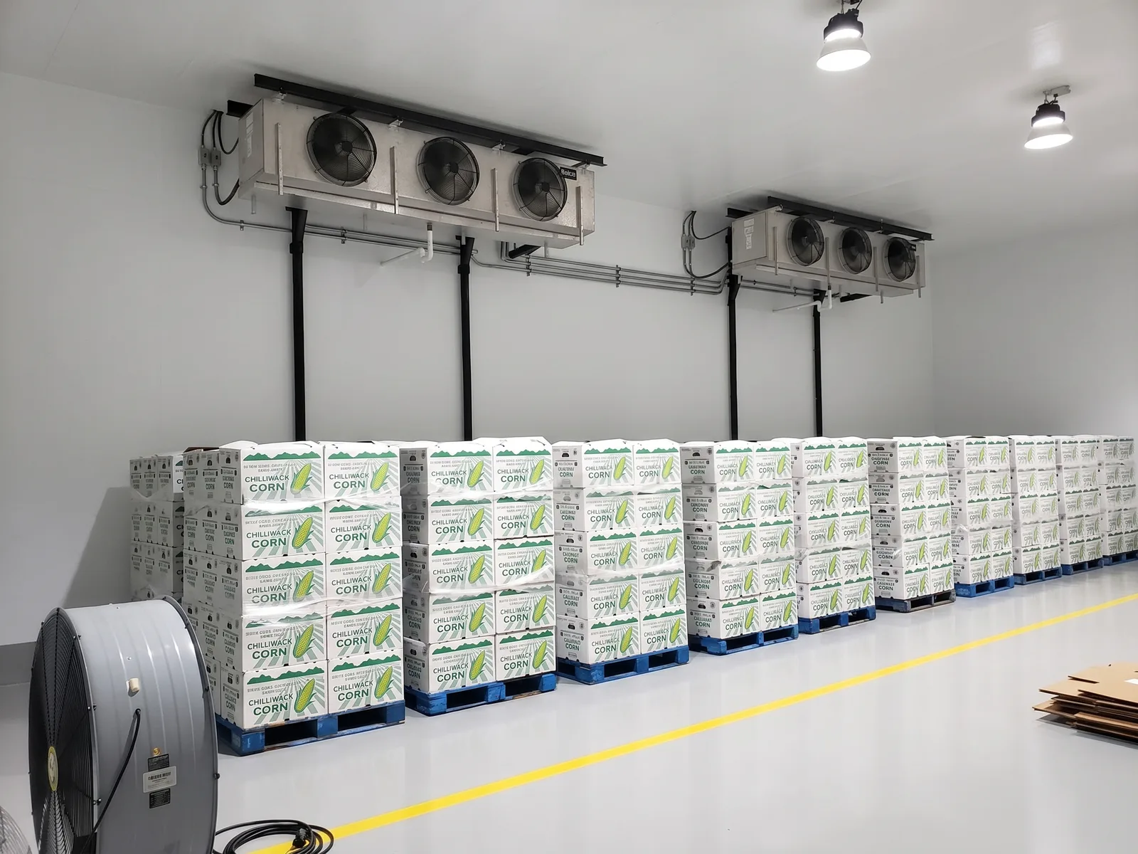 Commercial walk-in cold storage room with evaporator units and palletized Chilliwack Corn inventory