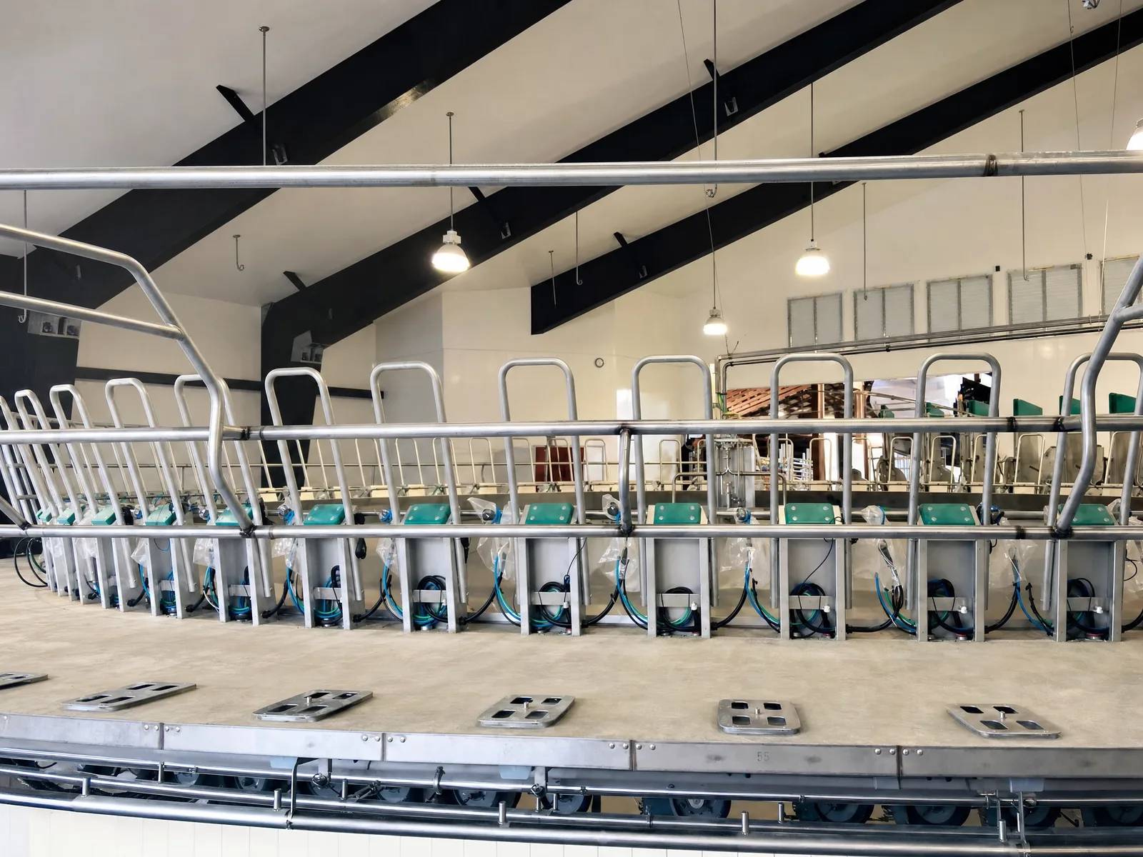Stainless-steel rotary milking parlour with automated cluster units - dairy refrigeration heat recovery captures waste heat from each milking