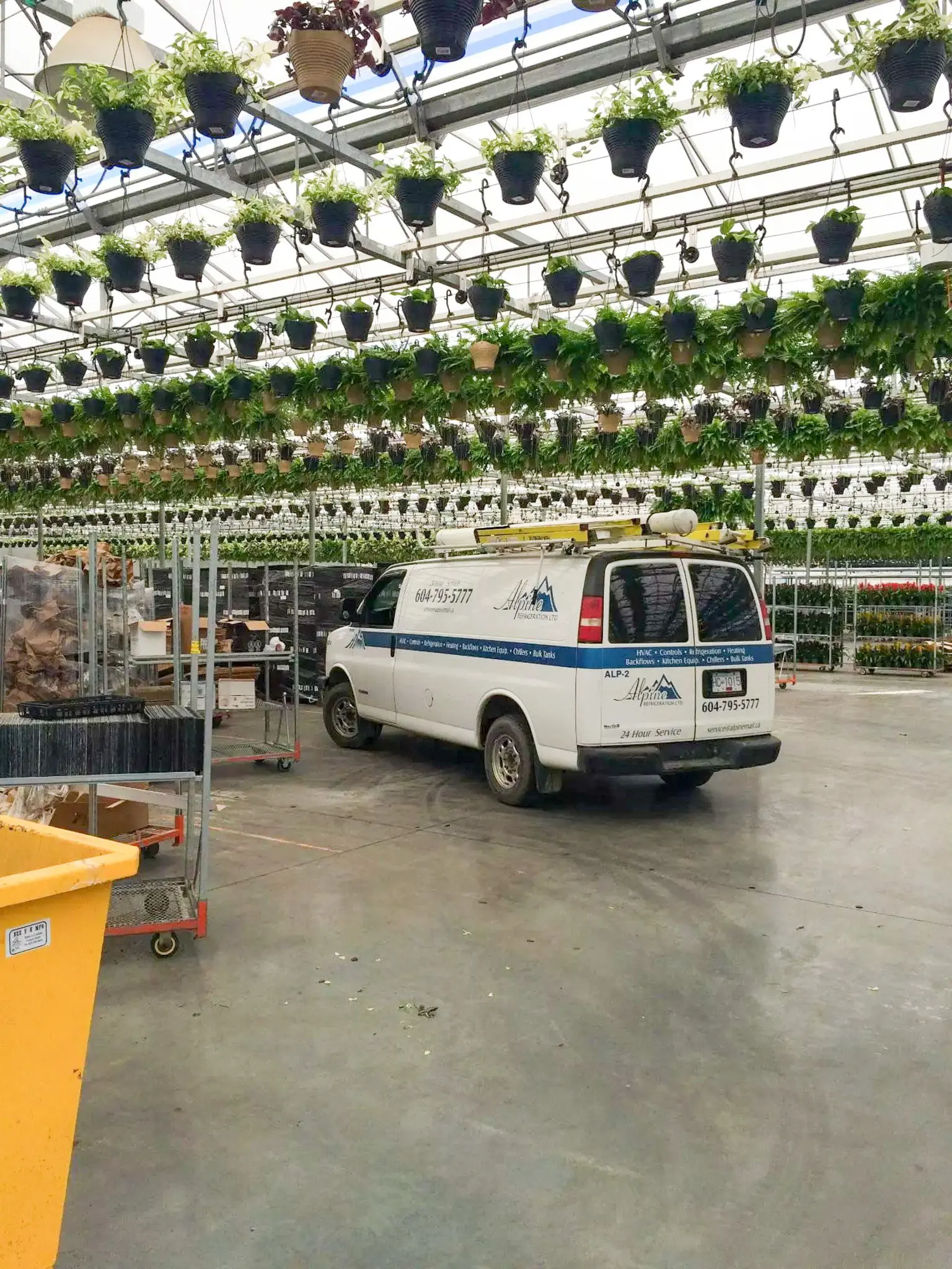 Alpine Refrigeration service van inside a Fraser Valley greenhouse - 24/7 emergency HVAC dispatch