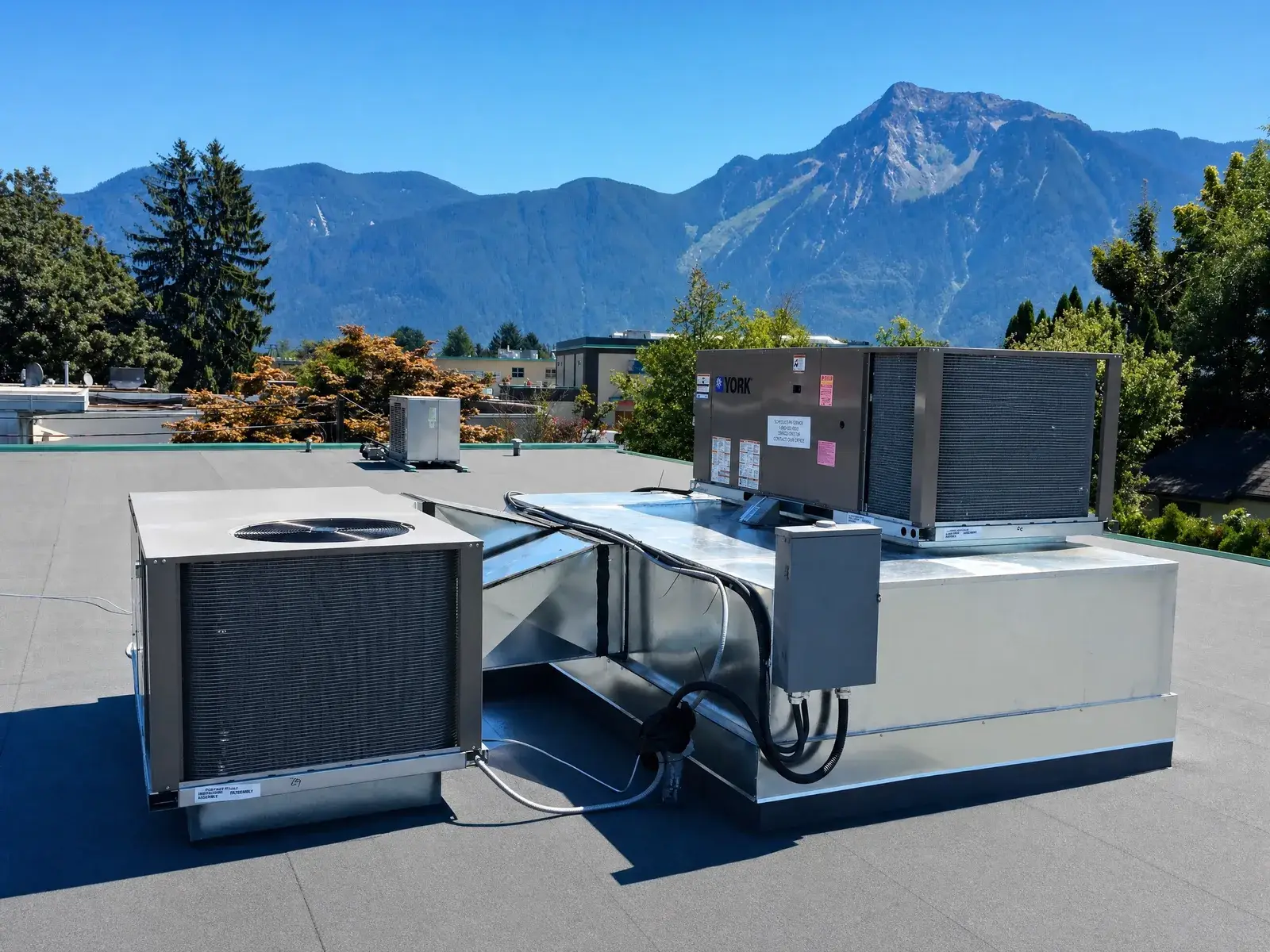 Rooftop York packaged refrigeration and ductwork unit serving a Fraser Valley produce cold storage, with mountains behind