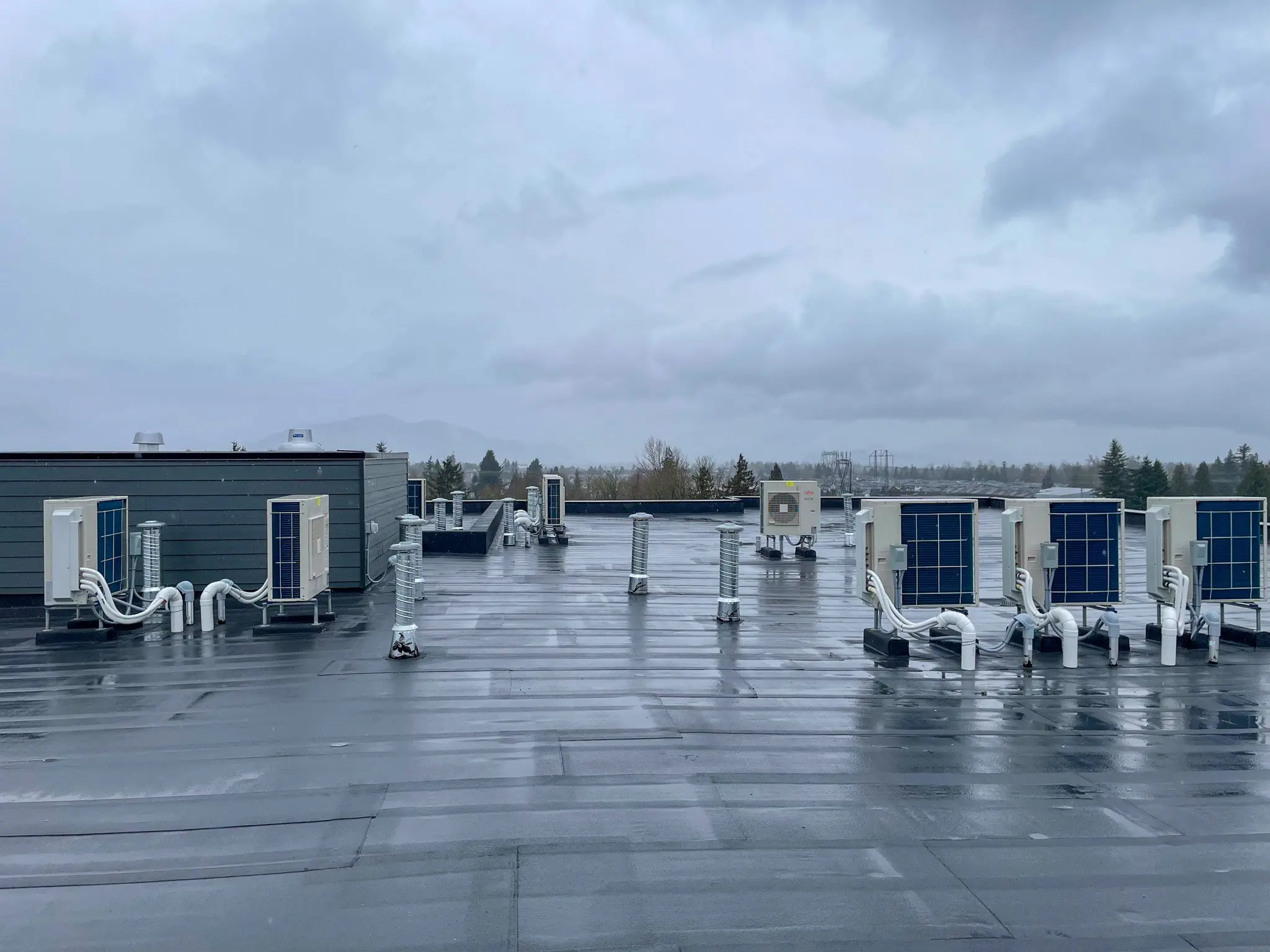 SkyNest Apartment Chilliwack