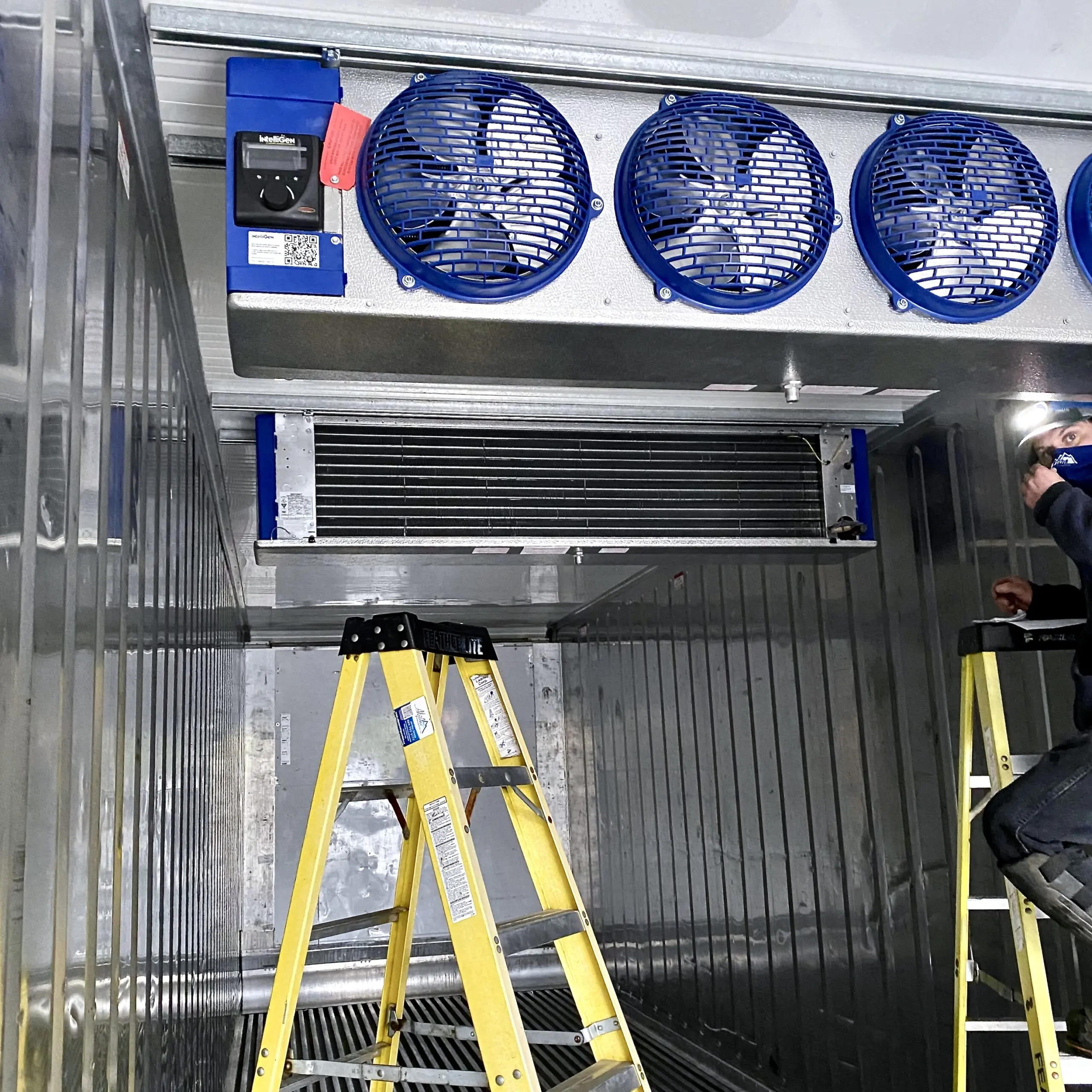 Ceiling-mounted refrigeration fan units installed by Alpine Refrigeration for berry freezer