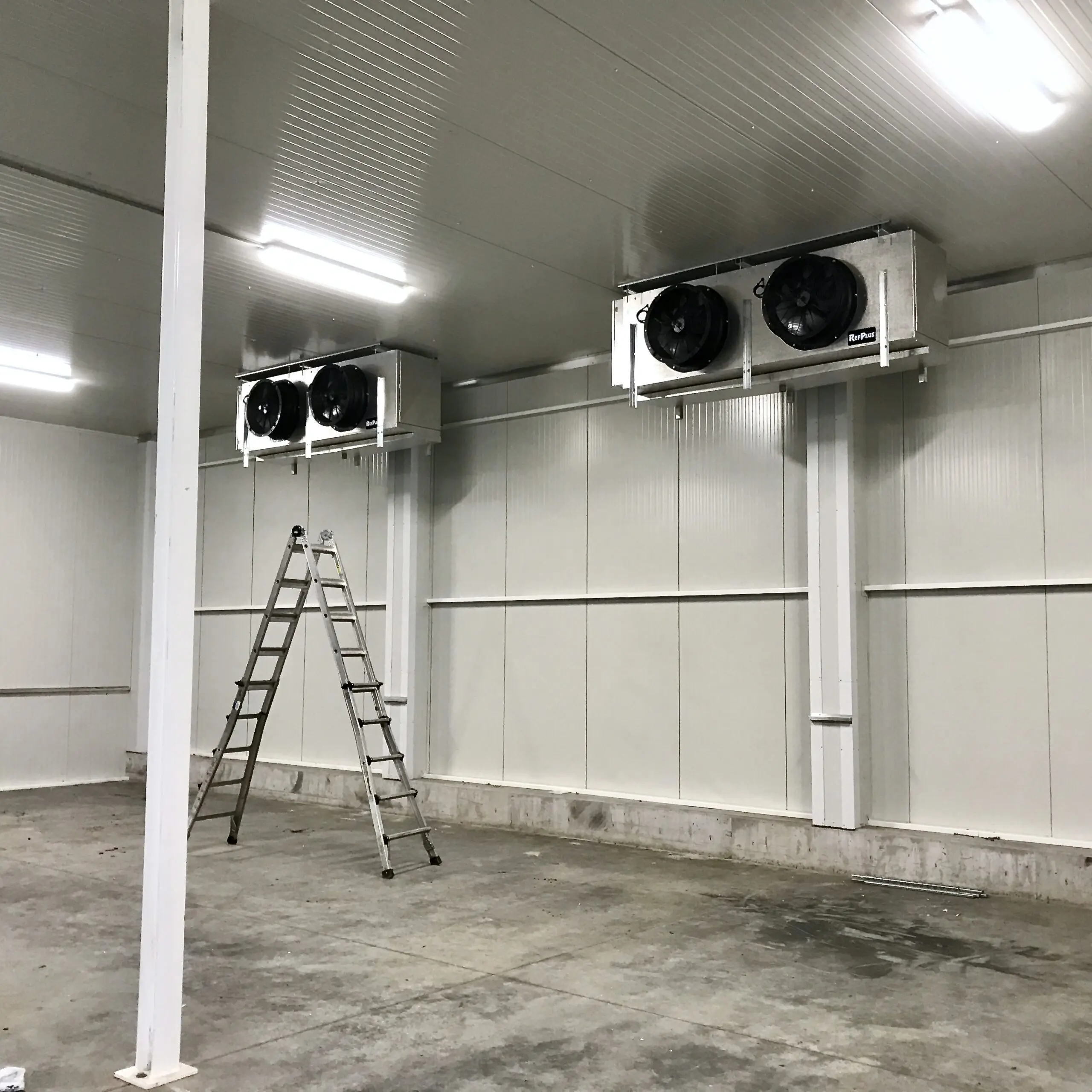 Cold storage room with ceiling-mounted refrigeration fans installed by Alpine